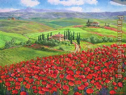 TUSCANY POPPIES painting - Unknown Artist TUSCANY POPPIES art painting